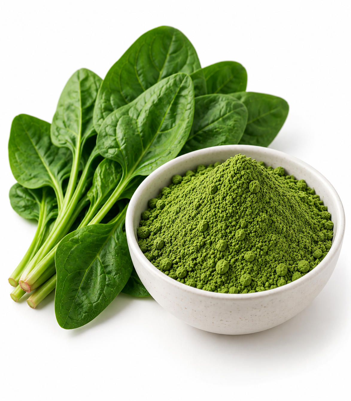 Dehydrated Spinach Powder Dehydrated Spinach Powder - Image 1