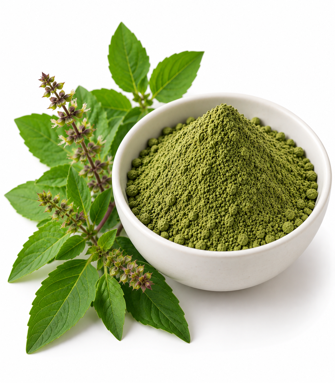 Dehydrated Tulsi Powder Dehydrated Tulsi Powder - Image 1